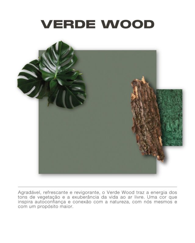 Lançamento especial: 10 Padrões de Cores