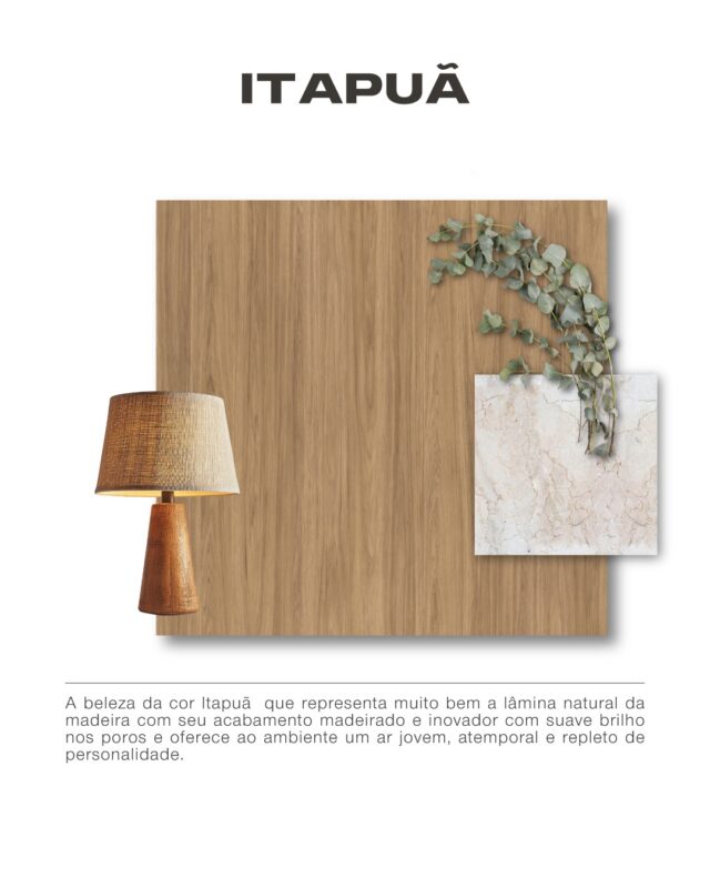 Lançamento especial: 10 Padrões de Cores